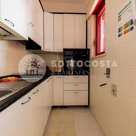 Harmony Flat - *