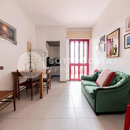 Harmony Flat - *