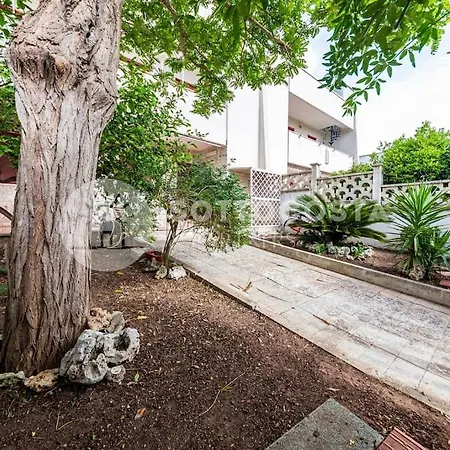Harmony Flat -